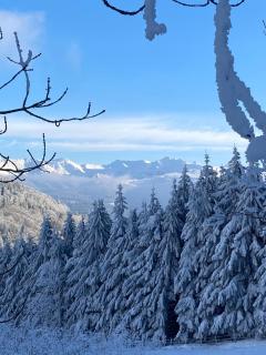 Grand appartement hyper centre haut standing - 9