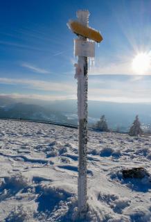 Grand appartement hyper centre haut standing - 8