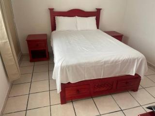 El Depa de Santa Cecilia - 3