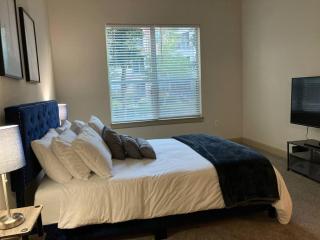 Lux 2/2 with Resort Amenities - Houston - 3