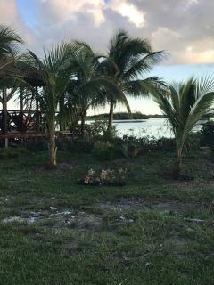 Hidden Paradise - Cottage - 5