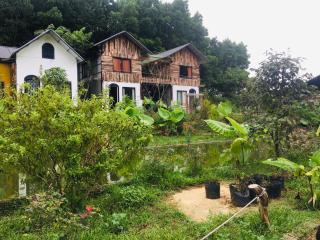 Stella Đồng Lâm Homestay - Làng Ben - 0