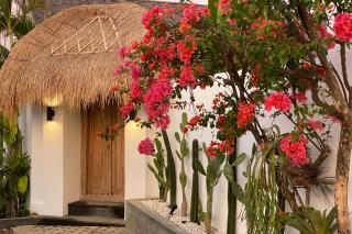 The Young Villas - Canggu - Canggu - 3