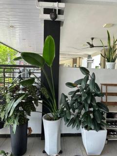 Pa&Ma HomeStay Kulim 4R3B fully aircond - Kulim - 8