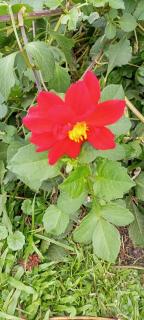 Lafrique guesthouse - Fort Portal - 2