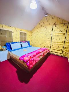 Uphill Adventures and Meditation I Dharamshala - 7