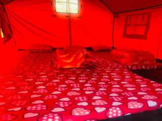 Uphill Adventures and Meditation I Dharamshala - Dharamshala - 2