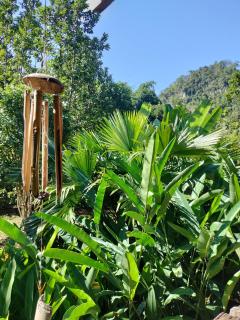 Pencave Homestay - Pang Mapha - 2