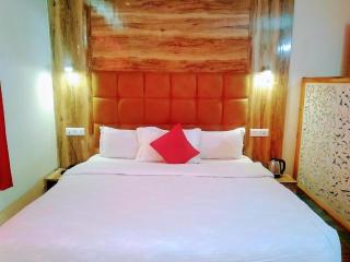 Holiday Hill Mountain View with Balcony - McLeod Ganj - 2