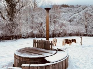 Chalet Le Fario, Bain nordique - Fréchet-Aure - 6