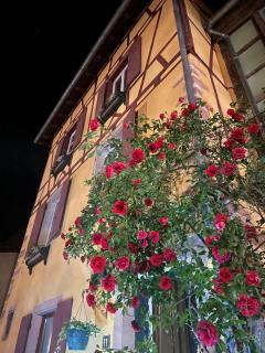 La Chambre des Trois Églises - Riquewihr - 9