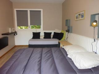 Chalet Le Fario, Bain nordique - 4