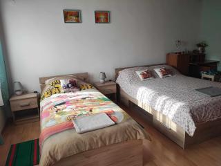 Apartman 1 RIBIČ - Ogulin - 0