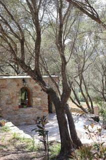 BERGERIE LA NEPITA - Saint-Florent - 9