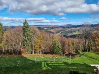 Swoboda na szczycie góry w zimie dojazd tylko 4x4 - 2
