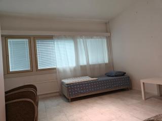 Pet-friendly 4 Bed Apt in Turku with Park views - Turku - 9