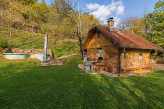 Rudnica Hill Lodge - Happy Rentals - 9