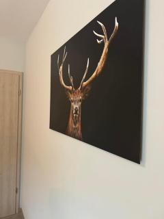 Cervus - Durbuy - 1