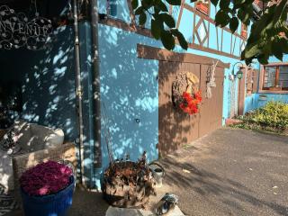 Le Gîte bleu - Willgottheim - 6