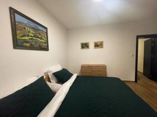 Konačište Zaplanjsko ognjište - - 5