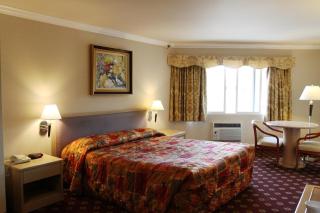 Metro Plaza Hotel - Los Angeles - 9