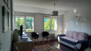 Au calme, avec jardin et proches des sites touristiques - Vannes - 9
