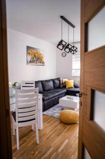 Apartman Georgijev - Zlatibor - 9