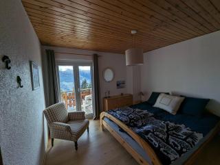 Chalet Cactus - 4 Vallées - Hérémence - 7