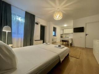 Sky Residence Airport Therme Otopeni 4 - Otopeni - 3