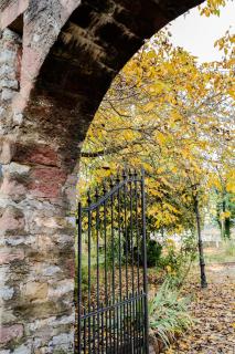 Eventlocation & Hotel Schloss Neuburg - Obrigheim - 4