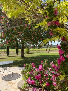 Villa avec Pool House au cœur des vignes - Lubéron - La Tour-dʼAigues - 1
