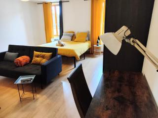 Appartement centre Ville Carmaux - Carmaux - 5