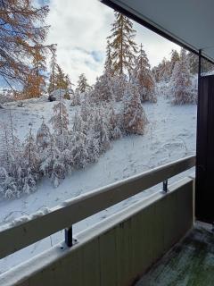 STUDIO le FOREST SKIS AUX PIEDS - Vars - 0