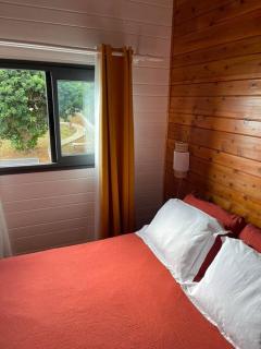 Austral House-chalet sud sauvage - Saint-Joseph - 1