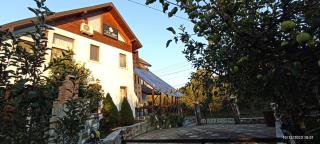 Vila Slanic - 8
