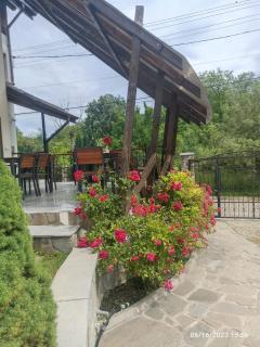 Vila Slanic - Slănic - 2