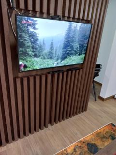 Apartmani Gavric Borovi 2 - 6