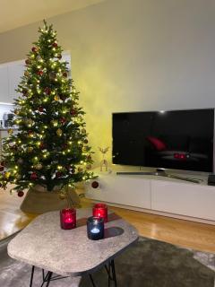 Arctic Circle City Apartment - Rovaniemi - 9