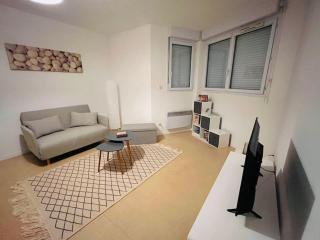 Appartement - Toulouse - Toulouse - 6
