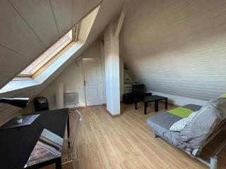 Duplex F2 - proche GARE TGV - Mulhouse - 2