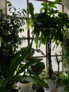 Lorenzo's House Catania - Comfortable flat in the city centre - 1