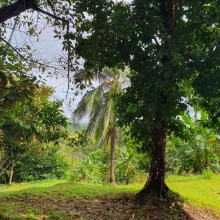 La Loma del Mango - Osez l'insolite tout confort ! - 2