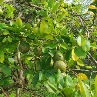 La Loma del Mango - Osez l'insolite tout confort ! - 1