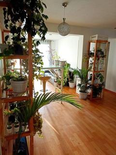 Cosy and full of plants apartment - Arequipa - 7
