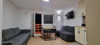 Kope, Jagoda 8 - Studio 2 - Slovenj Gradec - 4