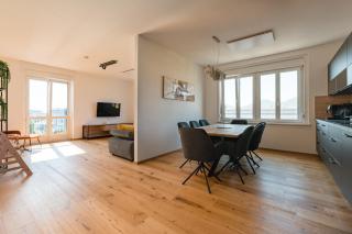 TAMLiving Center Luxury 4 rooms Smart TV Kitchen Great View - Graz - 0