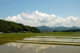 GLOCE宇佐 田宮-田んぼのお城- l 美しい田園と山々を一望 癒しと伝統を体感 - Usa - 4