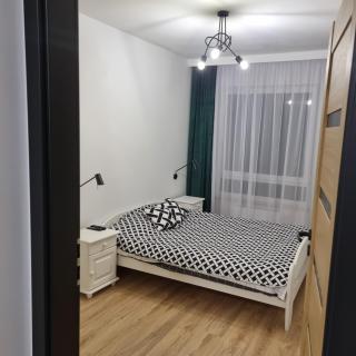 Komfortowy apartament - Toruń - 7