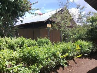 Eco mara forest camp - 7