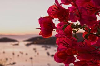 Villa Faros Vourkari Kea with private pool and stunning views - Vourkarion - 2
